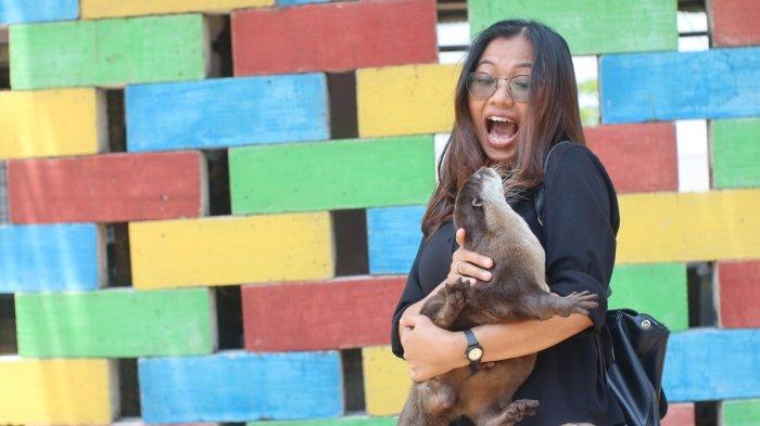 Pengunjung bercengkrama dengan satwa di Semarang Zoo.