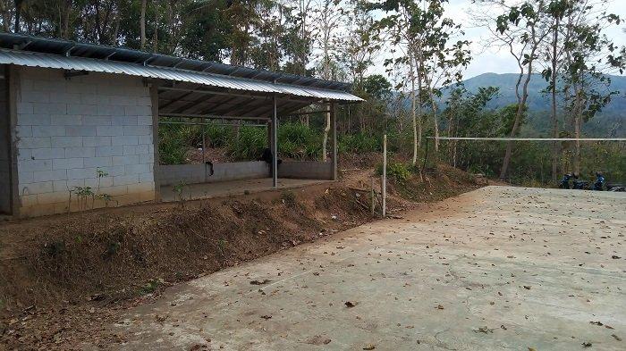 TKP perundungan siswa SMP di Cilacap. Lokasinya berada di sebuah lapangan bola voli yang berada di tengah perkebunan dan jauh dari rumah penduduk.