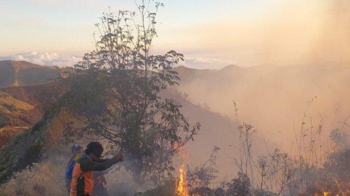 Petugas mencoba memadamkan api yang membakar kawasan Taman Nasional Bromo Tengger Semeru, tepatnya di sekitar Gunung Bromo.