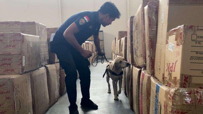 pemeriksaan barang kiriman oleh tim K-9