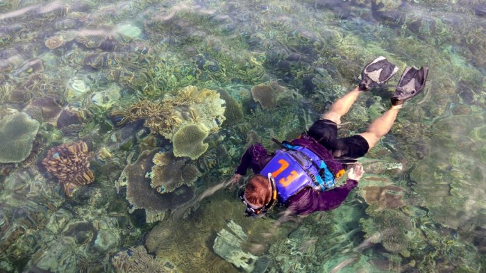 Snorkling di salah satu spot andalan di Kepulauan Karimunjawa