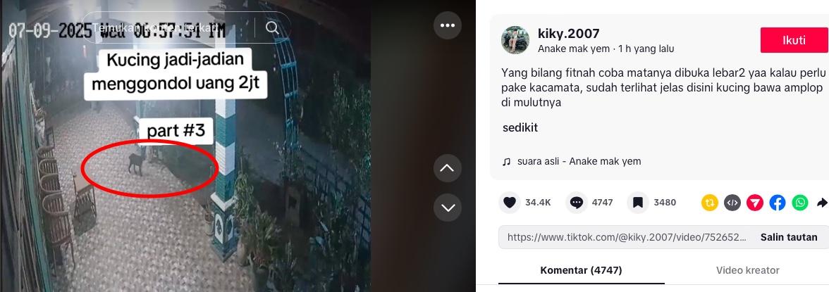 KUCING : Tangkapan layar dari Tiktok @kiky.2007 pada Selasa (15/7/2025) : Rekaman CCTV kucing hitam mengambil amplop diduga berisi uang Rp 2 juta