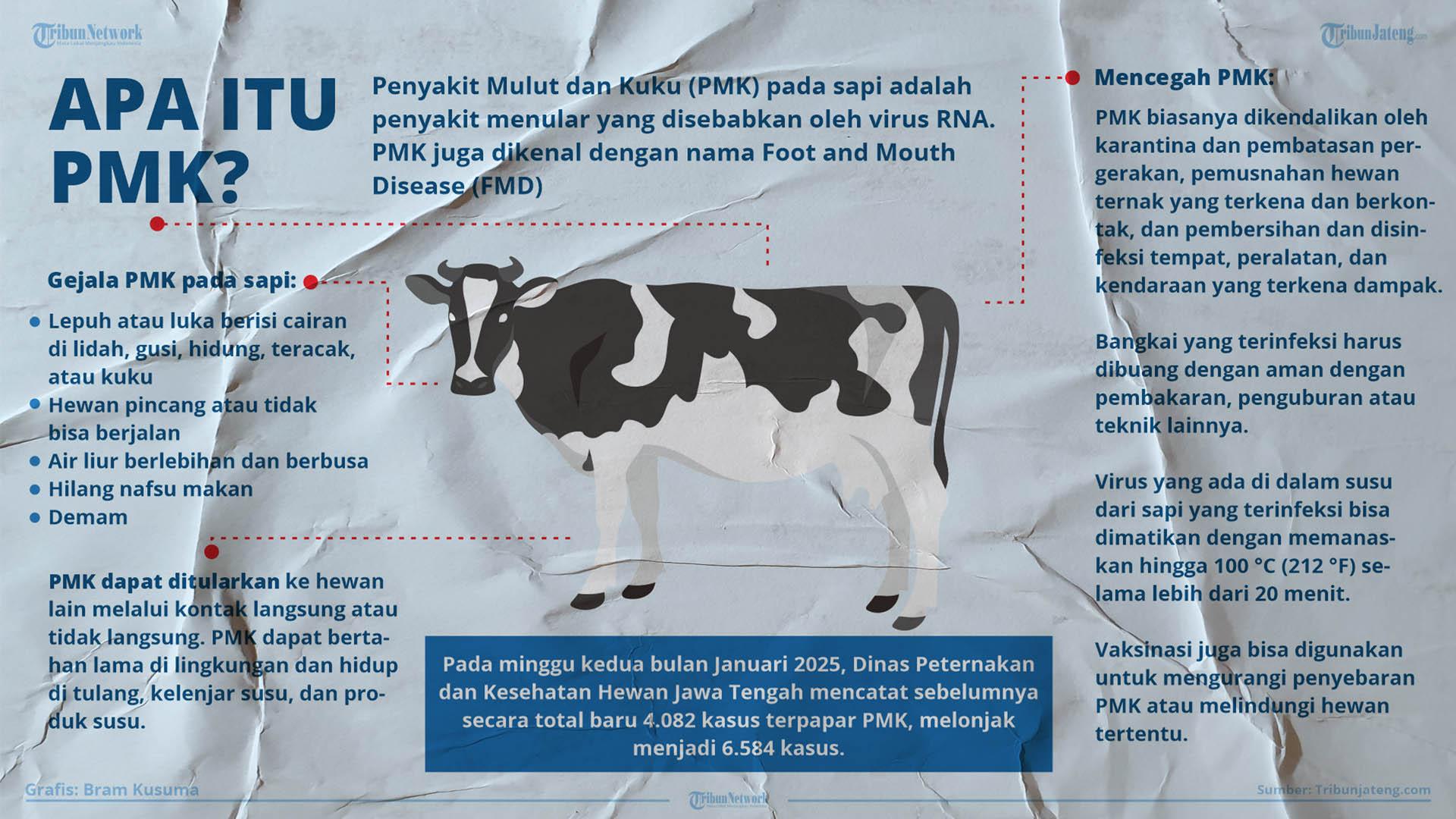 Infografis Apa Itu Penyakit Mulut dan Kuku (PMK)