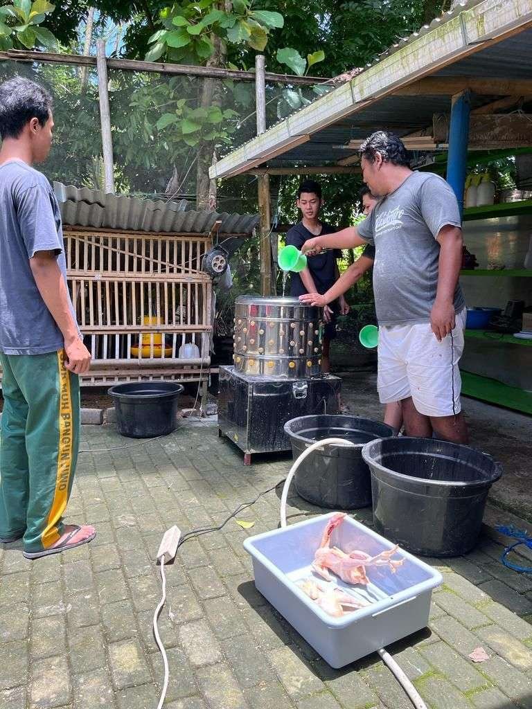 Pertamina Patra Niaga memberikan pelatihan dan budidaya ayam joper serta memfasilitasi akses pasar bagi produk-produk hasil budidaya tersebut