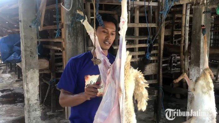 Amir Peternak Kambing di Jombang saat Berada di Peternakan Kambing Miliknya