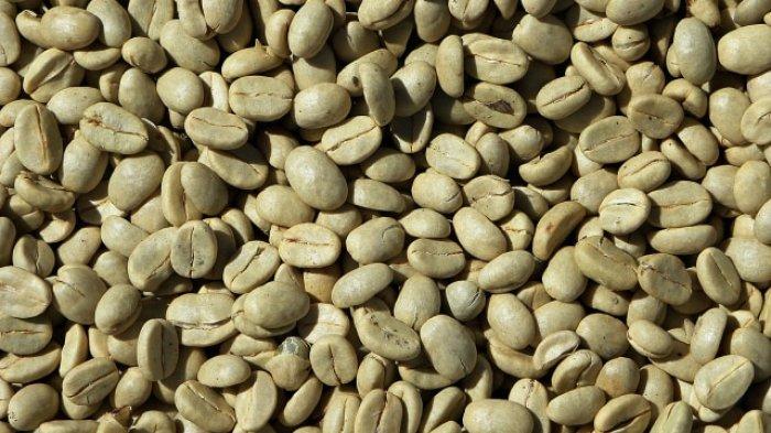 Biji kopi hijau membantu diet.