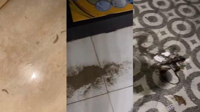 Curhatan artis senior dapati rumah dipenuhi belatung dan masak nasi selalu basi, kini temukan gundukan pasir berisi tulang belulang di sekitar rumahnya.