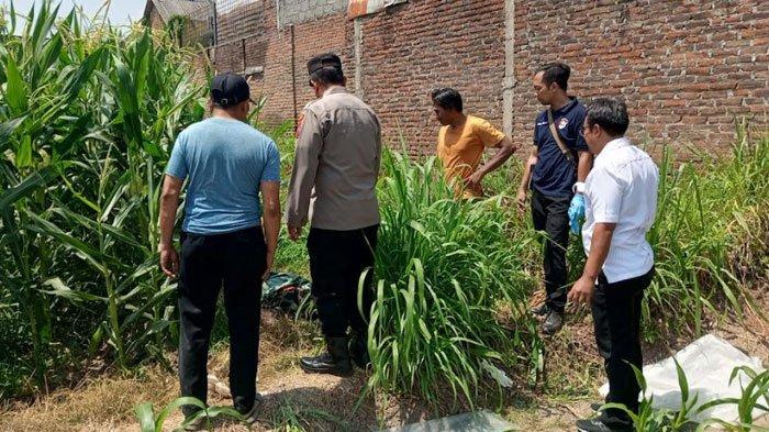 Warga Desa Lamong, Kecamatan Badas, Kabupaten Kediri digegerkan dengan penemuan seorang jasad laki-laki di area persawahan, Senin (2/9/2024).