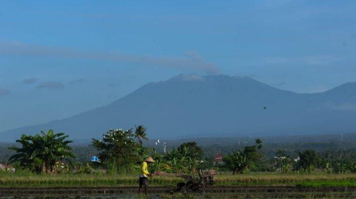 GUNUNG RAUNG - Gunung Raung dilihat dari wilayah persawahan Kelurahan Sobo, Kecamatan/Kabupaten Banyuwangi, Kamis (12/6/2025). BPBD Banyuwangi menyebut tak ada laporan dampak atas kejadian itu.