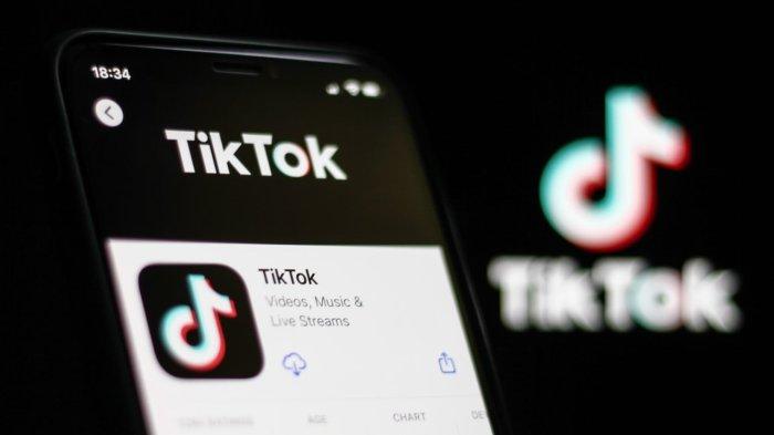 Ilustrasi TikTok