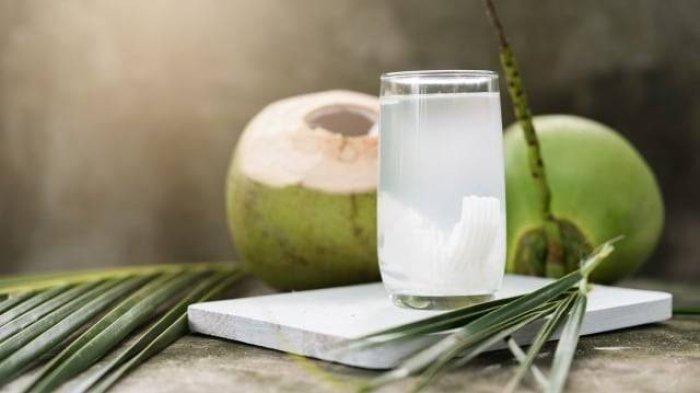 Ilustrasi es kelapa