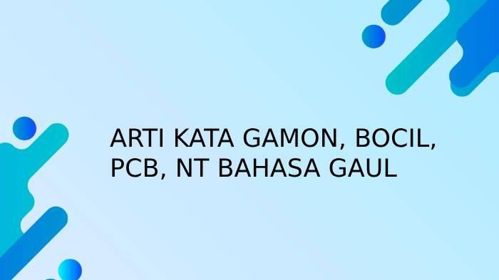 ARTI KATA - Ilustrasi arti kata gamon, bocil, PCB dan NT.