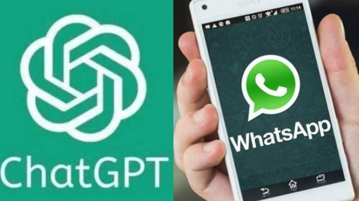 Ilustrasi cara mudah aktifkan ChatGPT di WhatsApp.