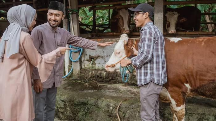 HEWAN KURBAN - Ilustrasi tips memilih hewan kurban untuk Idul Adha 2025.