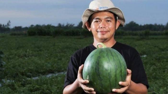 Iqbal, petani milenial binaan Pupuk Kaltim.
