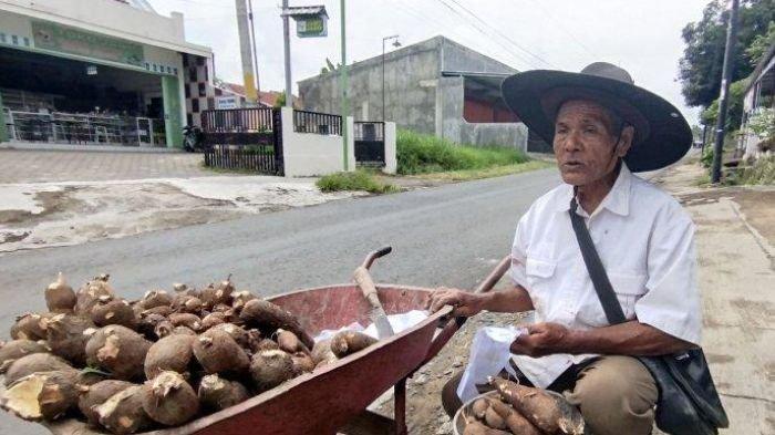 Mbah Mail saat menawarkan dagangan di sekitar Kantor Kecamatan Kalipuro, Banyuwangi, Kamis (16/1/2025).