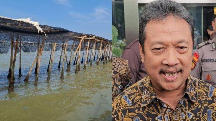Sosok Menteri KKP Sakti Wahyu Trenggono yang melarang TNI AL mencabut pagar laut, padahal TNI diperintah Presiden Prabowo