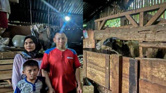Nasib Sukiman Tidur di Kandang Domba, Istri Pasrah Masak Campur Bau Kotoran, Tak Pernah Dapat Bansos