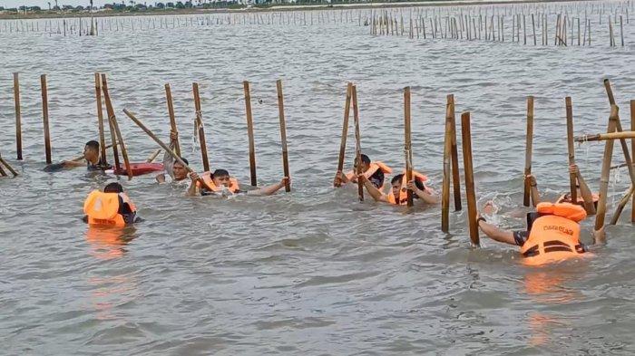 Pagar Laut Bisa Bentuk Daratan 30 Hektar, Menteri KP Minta Pembongkaran Dihentikan: itu Barang Bukti