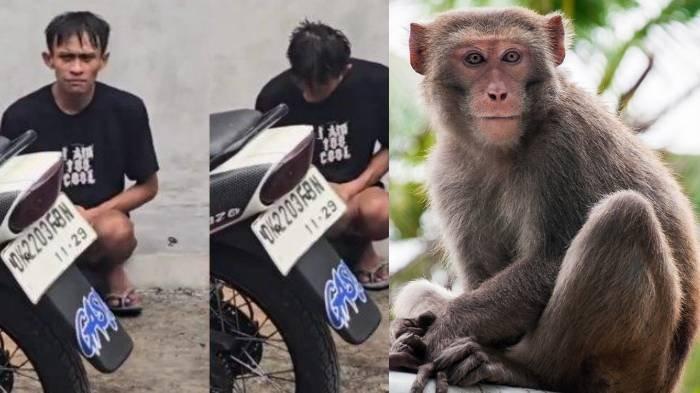PEMUDA KESURUPAN - Unggahan di media sosial terkait pemuda diduga kesurupan seusai melempari monyet di Monkey Forest Ubud.