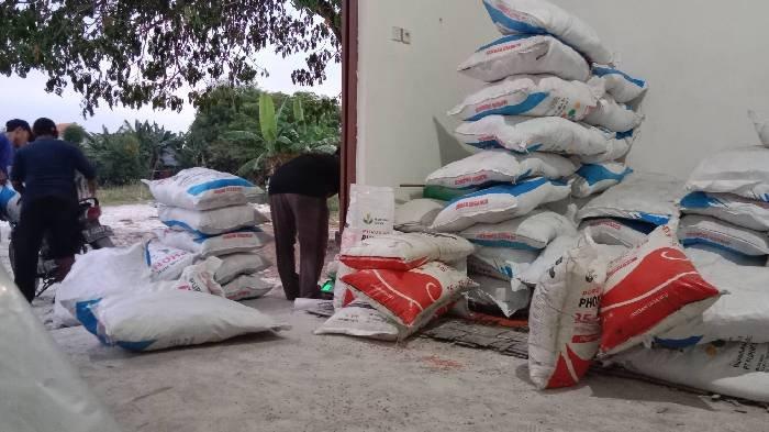 TEBUS PUPUK - Petani sedang menebus pupuk di Tuban, Sabtu (15/2/2024). Kini alokasi pupuk urea dan NPK di Tuban tahun 2025 alami penurunan, meski ada tambahan jenis organik