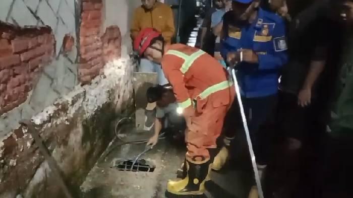 EVAKUASI ULAR - Petugas Damkar saat lakukan evakuasi ular piton sepanjang 5 meter yang bersarang di gorong-gorong Kelurahan Kutorejo, Kabupaten Tuban, Jawa Timur, pada Jumat (14/2/2025). Proses evakuasi berlangsung dramatis