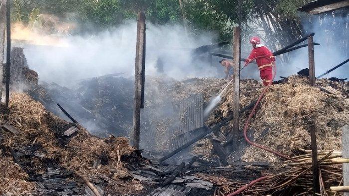 Petugas pemadaman kebakaran menyemprotkan air di atas tumpukan sepah tebu kering, Jumat, (22/12/2023).