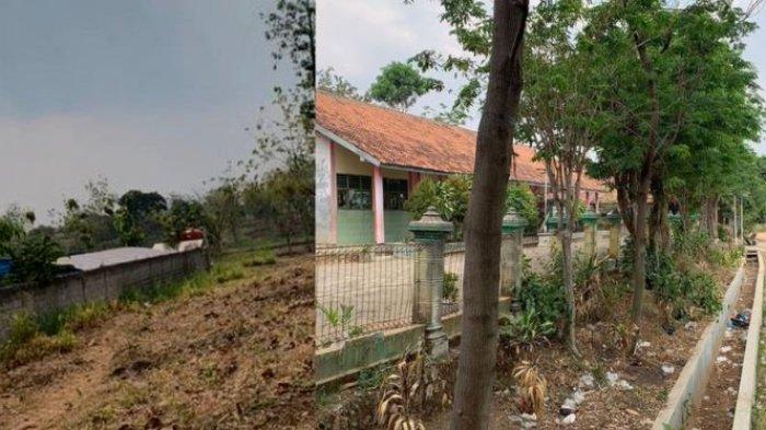 Potret tanah milik Mbah Siyem yang kini telah diambil alih oleh Pemerintah Desa tanpa ada diskusi dan pemberitahuan.