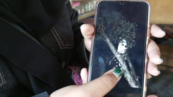 Sebuah foto penampakan pocong yang berhasil diabadikan ponsel pemuda di Situbondo, Selasa (16/7/2024)