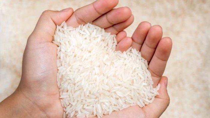 BERAS OPLOSAN - Foto ilustrasi beras terkait terungkapnya praktik penipuan yang dilakukan oleh sejumlah produsen beras di Indonesia.