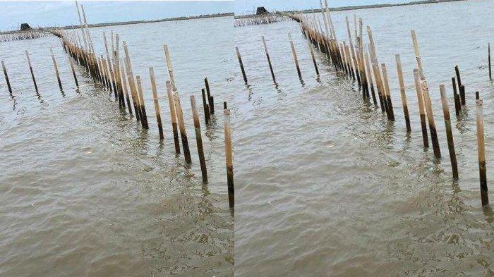 WARGA KOHOD SYOK NAMA DICATUT KE SHGB - Pagar laut yang berdiri tegak di Tangerang dan masih menjadi polemik hingga saat ini, warga desa setempat protes karena namanya ikut dicatut dalam Sertifikat HGB, Kamis (30/1/2025).