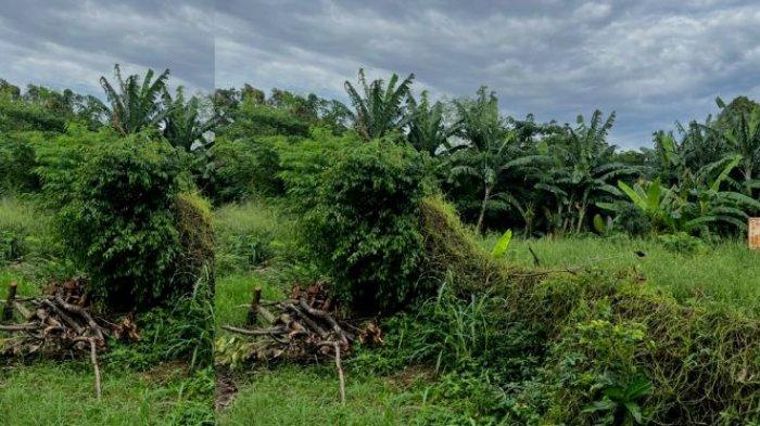 Warga tolak pembangunan perumahan di Cinere tapi malah berakhir didenda Rp 40 Miliar