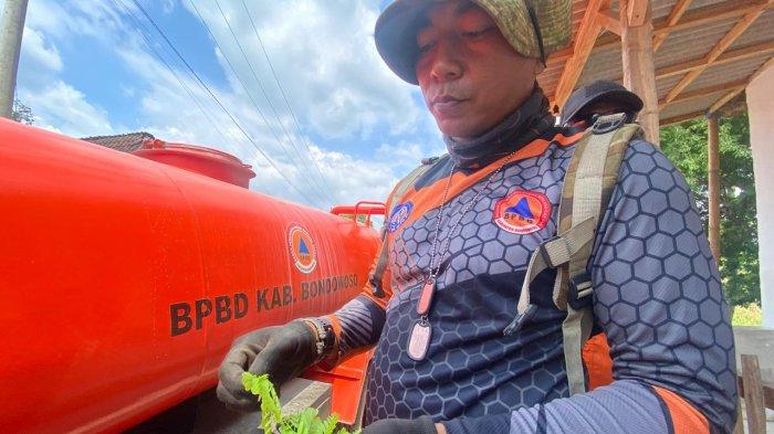 PETUGAS BPBD - Zhikr Afuwwun Shabuur, salah satu anggota BPBD Bondowoso yang suka makan dedaunan di Hutan, telah belajar ilmu bertahan hidup sejak SMA melalui ektrakuler pecinta alam.