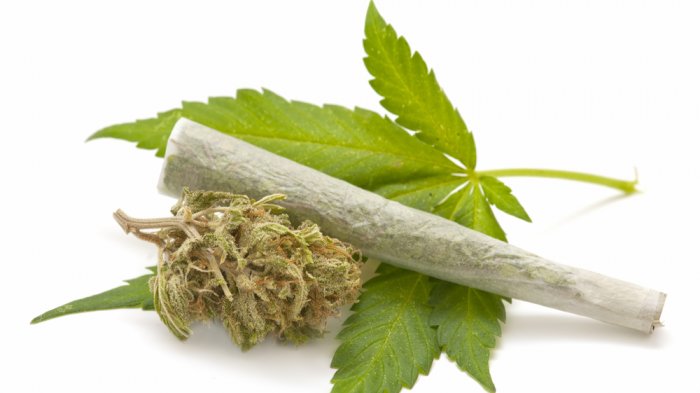 Ilustrasi ganja