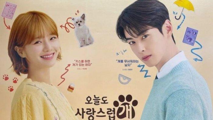 Cha Eun Woo bakal membintangi drama Korea A Good Day to Be a Dog yang bakal tayang Oktober 2023!