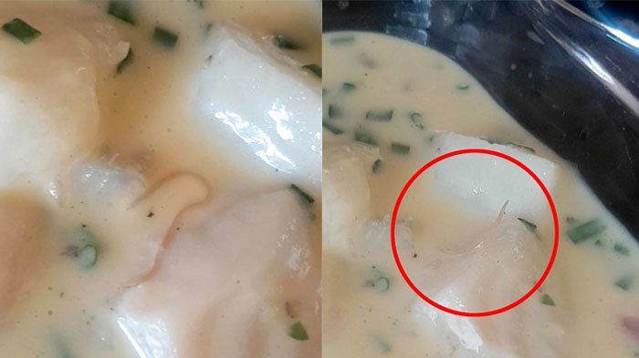Cacing parasit di dalam saus
