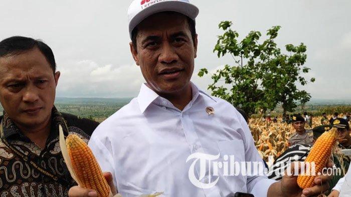 Menteri pertanian, Andi Amran Sulaiman saat panen raya jagung di Desa Talun, Kecamatan Montong, Tuban, Jumat (15/2/2019).