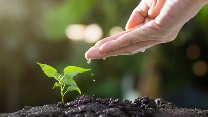 13 Arti Mimpi Berkebun Menurut Kitab Primbon Jawa, Apakah Ini Pertanda Baik?