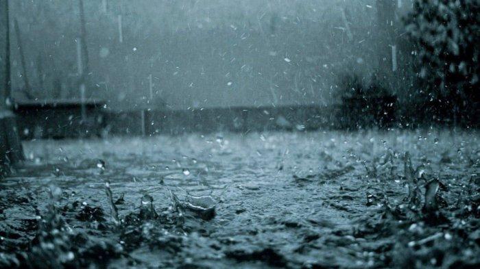 Acid Rain