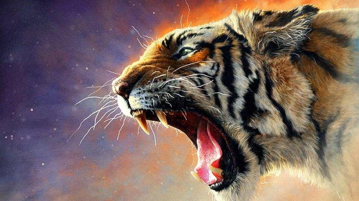 Arti mimpi tentang harimau, macan, atau binatang lainnya