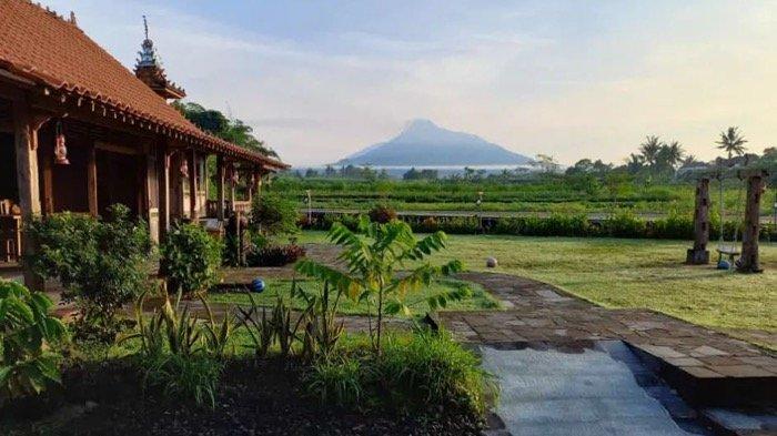 Bale Merapi