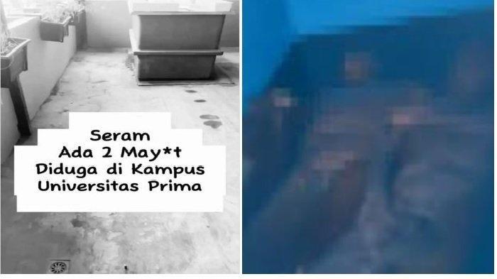 Video penemuan mayat di Medan