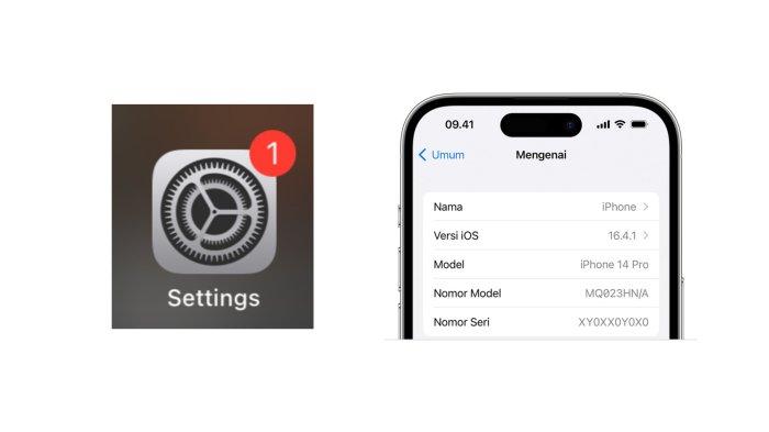 Cek IMEI