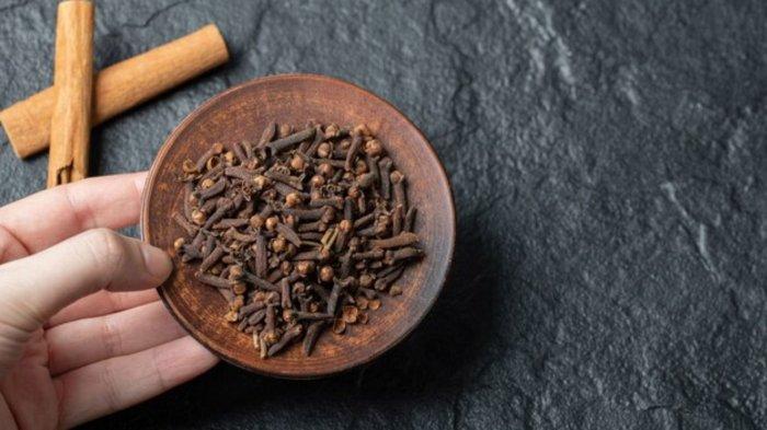 Hand holding a brown plate with dried clove.
