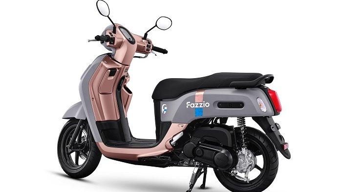 Fazzio Hybrid