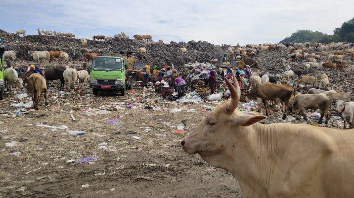 Kondisi TPST Piyungan beberapa waktu lalu