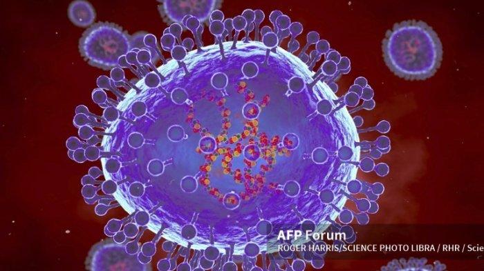 Ilustrasi: human metapneumovirus (HMPV), virus pernapasan yang menyerang hampir semua anak pada usia 5 tahun