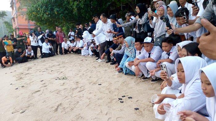 PELEPASAN: Ratusan tukik dilepaskanliarkan di Pantai Wediombo Gunungkidul, pada Rabu (4/6/2025)
