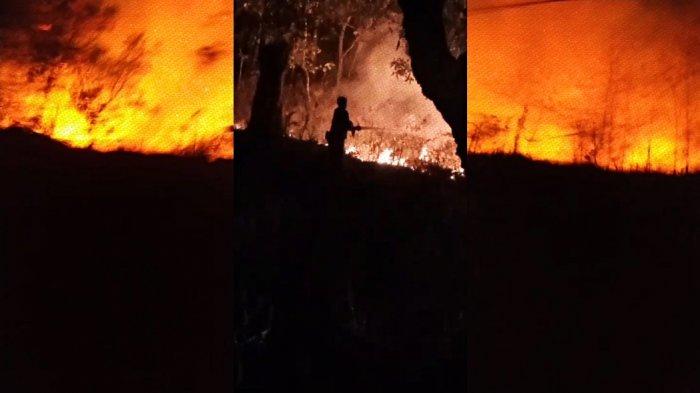 Kebakaran hutan di Semin, Gunungkidul, DIY, Rabu (16/8/2023). FOTO: Tangkapan layar video dari Maryadi, warga Semin.