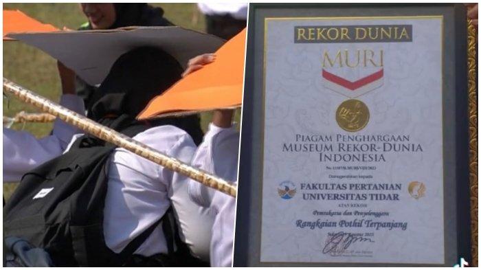 Universitas Tidar Magelang memecahkan rekor MURI dengan merangkai pothil sepanjang 1.095 meter, Rabu (9/8/2023)